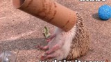 youtube funny images-1