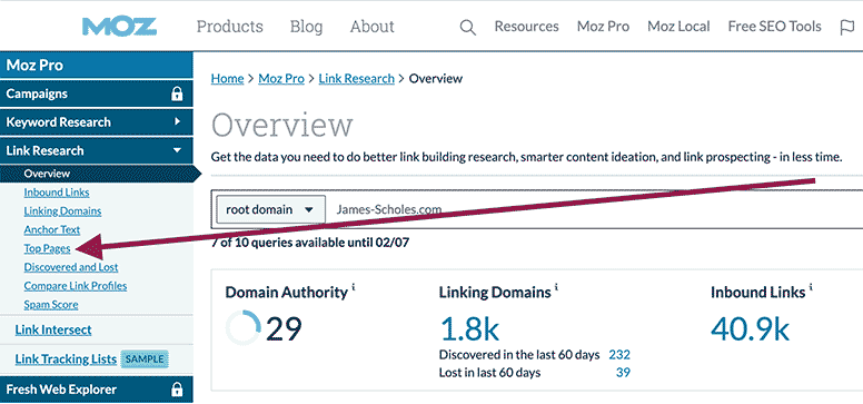 Click on "Top Pages" when in the Overview section of Moz Link Explorer.